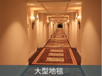 酒店客房地毯清洁剂